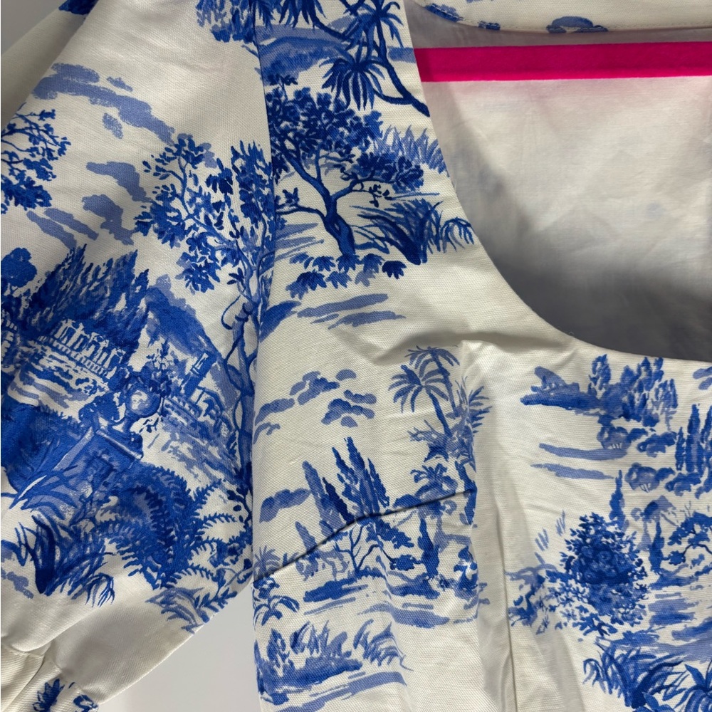 Ann Taylor Blue and White Dress - Picture 5 of 13